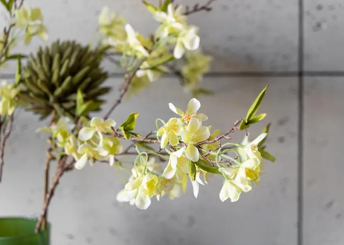 Apartamento Park Old Town By Renters